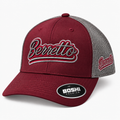 Maroon/silver